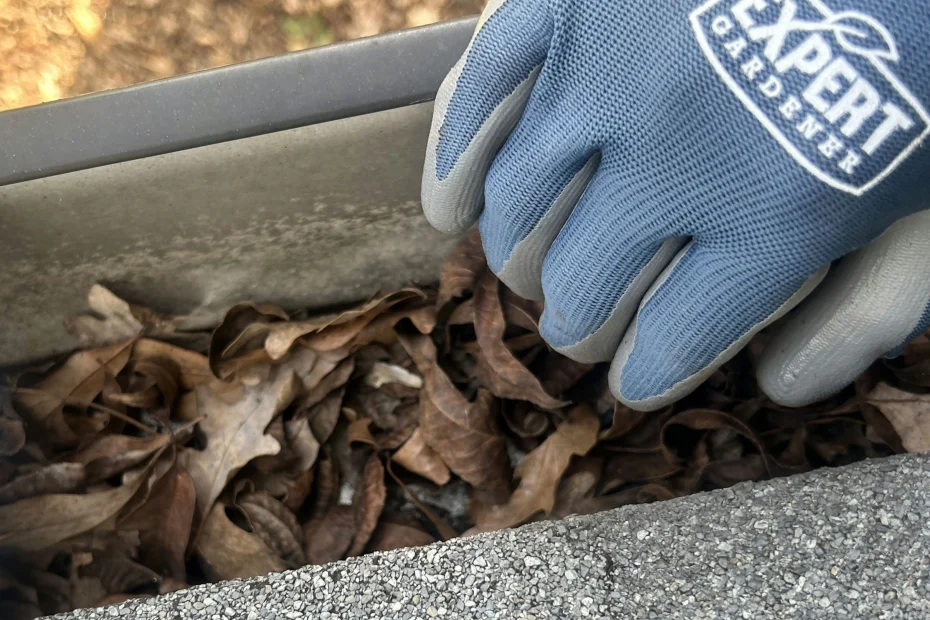 Gutter Cleaning Alachua