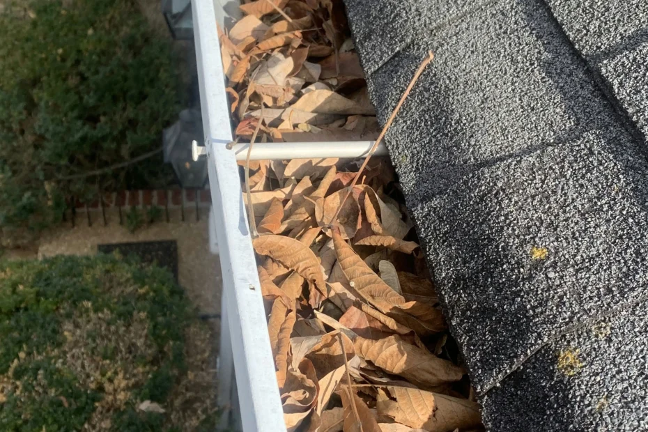 Gutter Cleaning Alachua