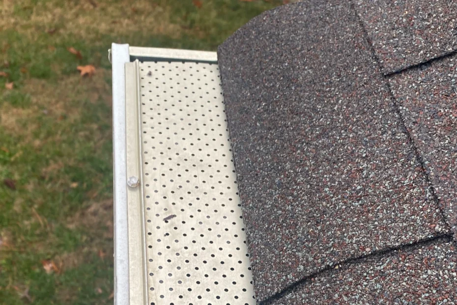 Gutter Cleaning Alachua