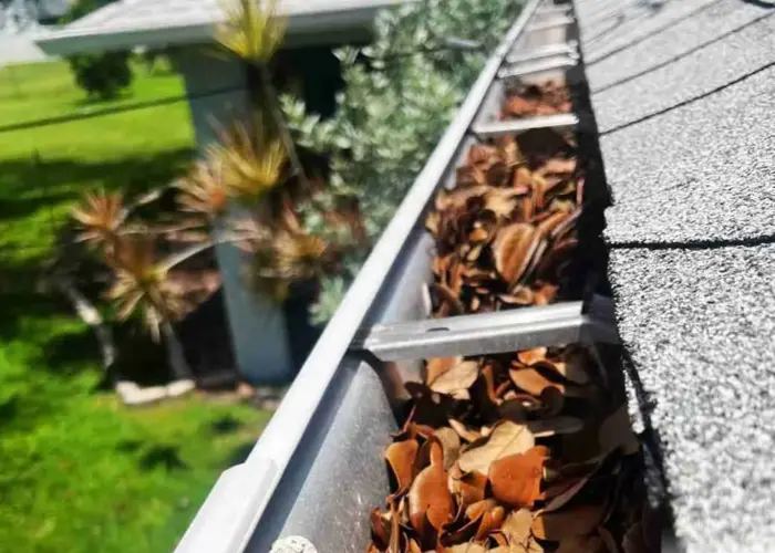 Gutter Cleaning Alachua home page